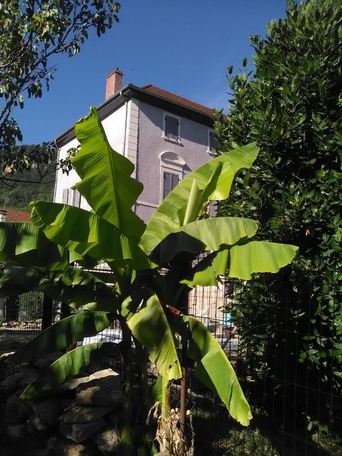 فندق A Deux Pas Du Rheby Villebois المظهر الخارجي الصورة
